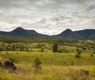 scenic-rim