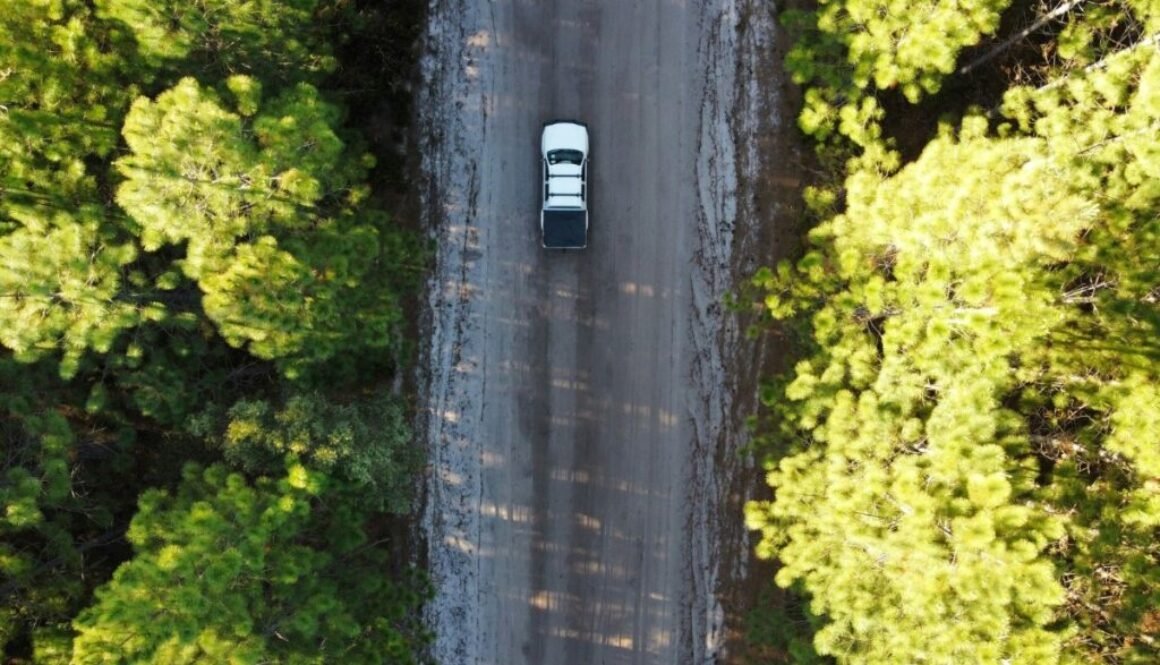 sunshine-coast-hinterland