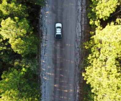sunshine-coast-hinterland