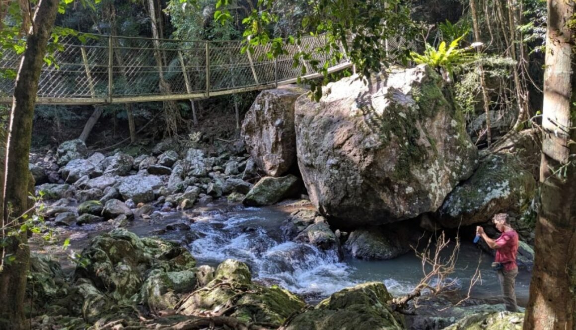 sunshine-coast-great-walk