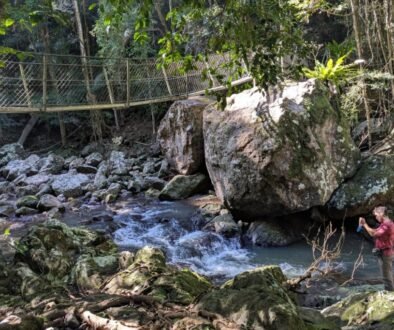 sunshine-coast-great-walk