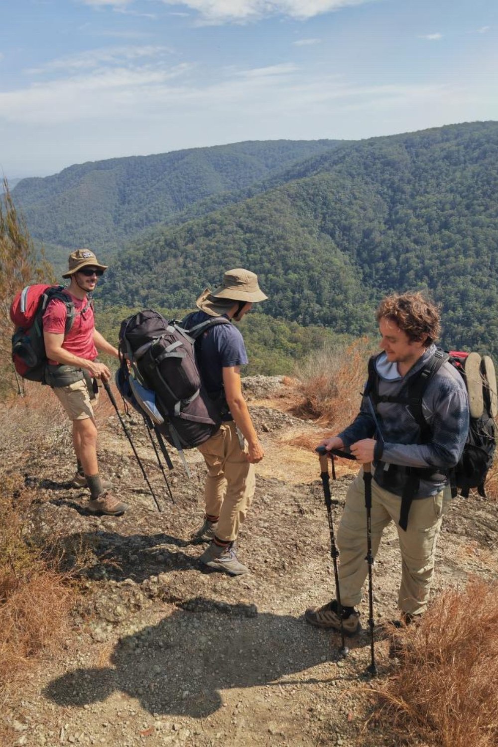 sunshine-coast-great-walk-hike