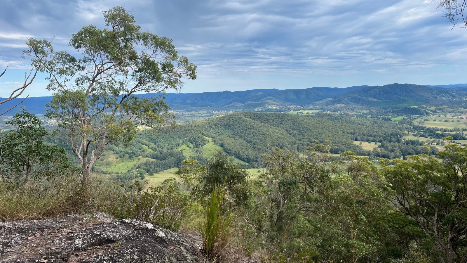 sunshine-coast-great-walk-lookout