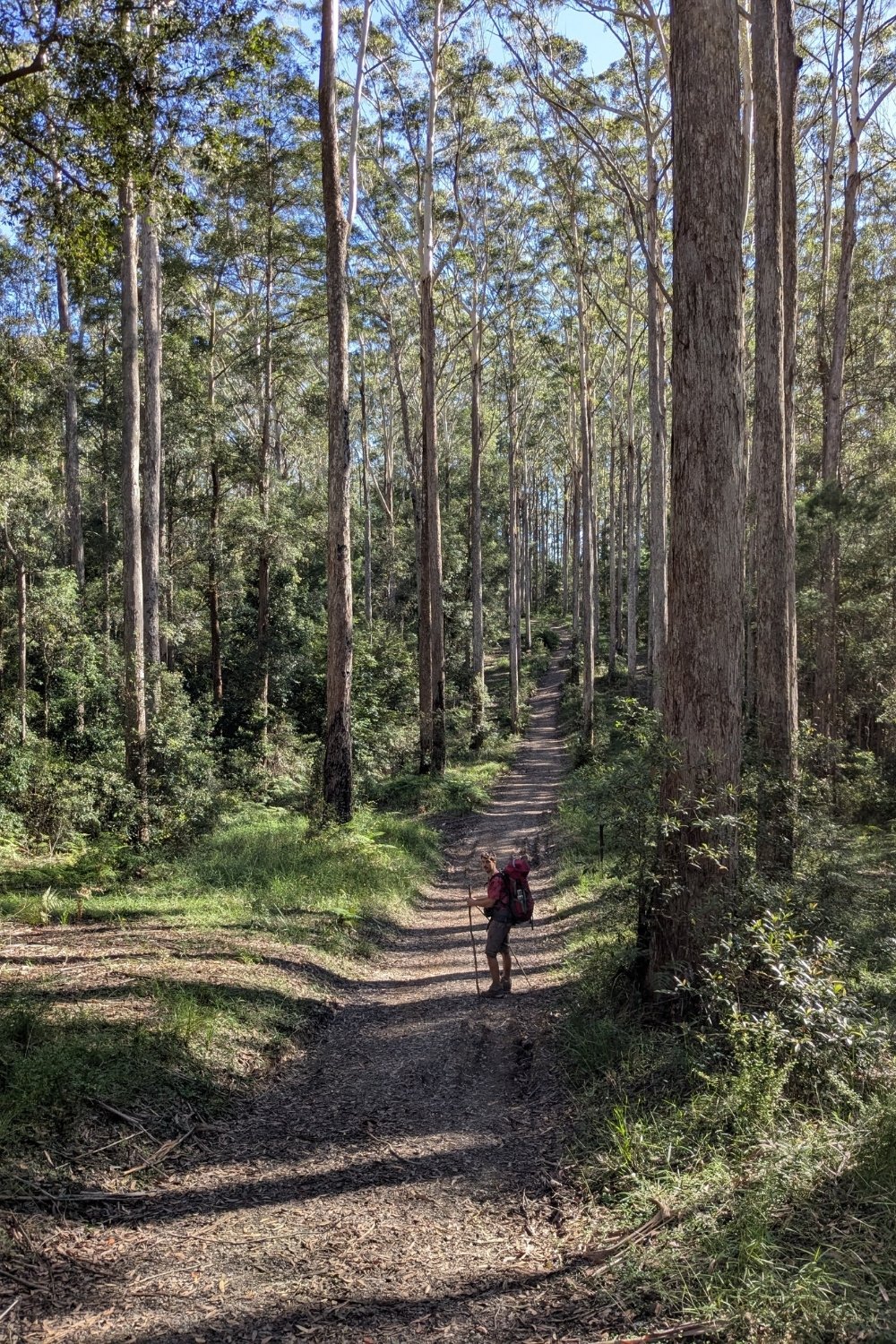 sunshine-coast-hiking