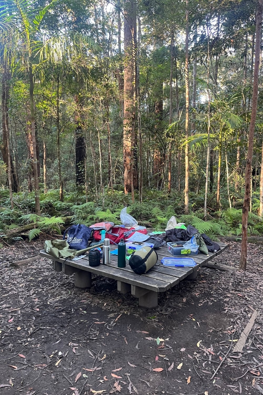 sunshine-coast-walkers-camp