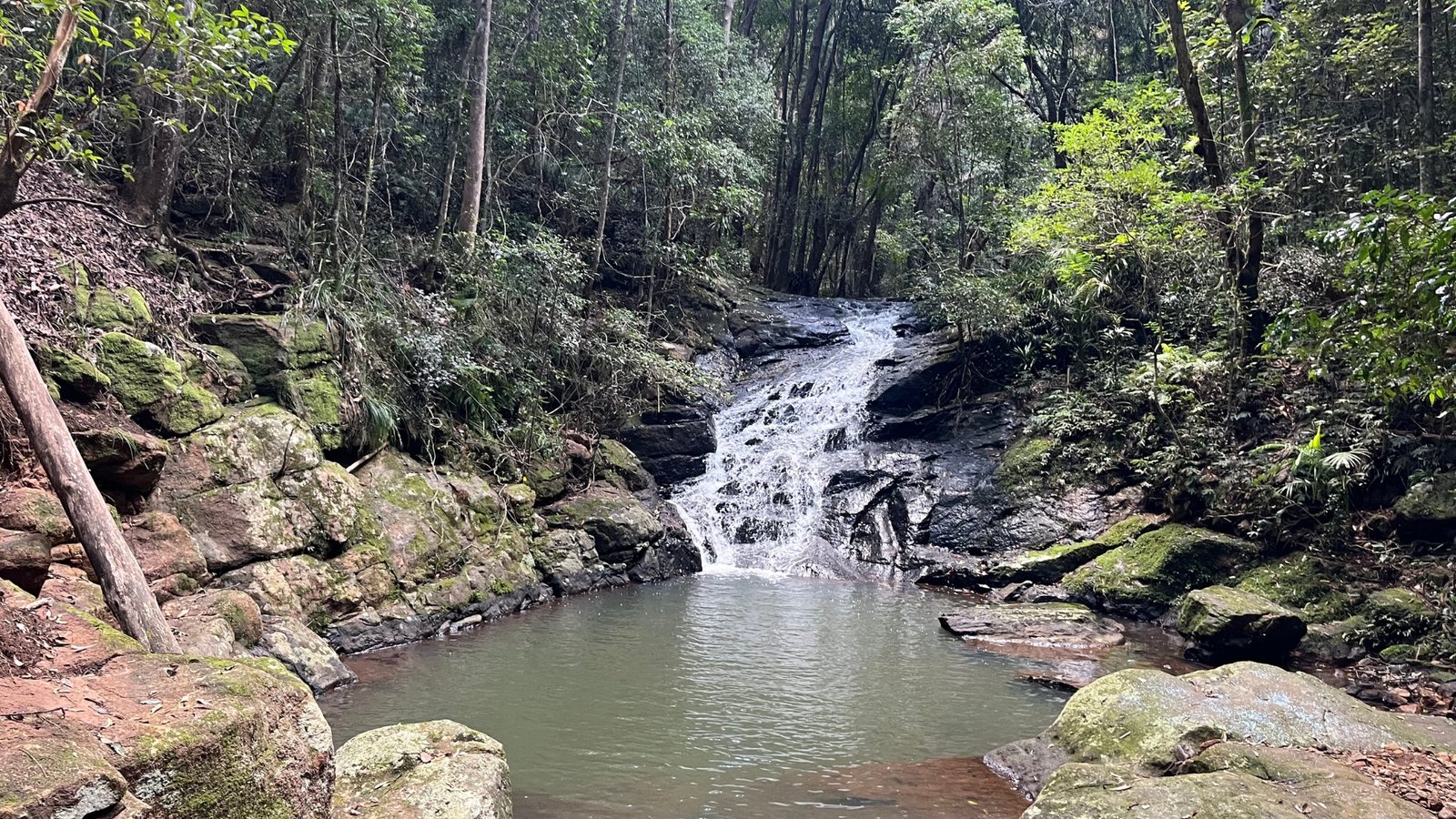 sunshine-coast-waterfall